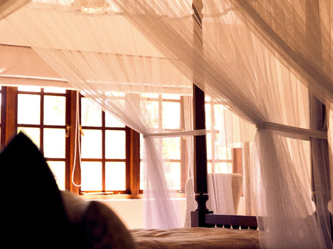 锡兰茶径 - 瑞莱斯和城堡 - 全包式主图