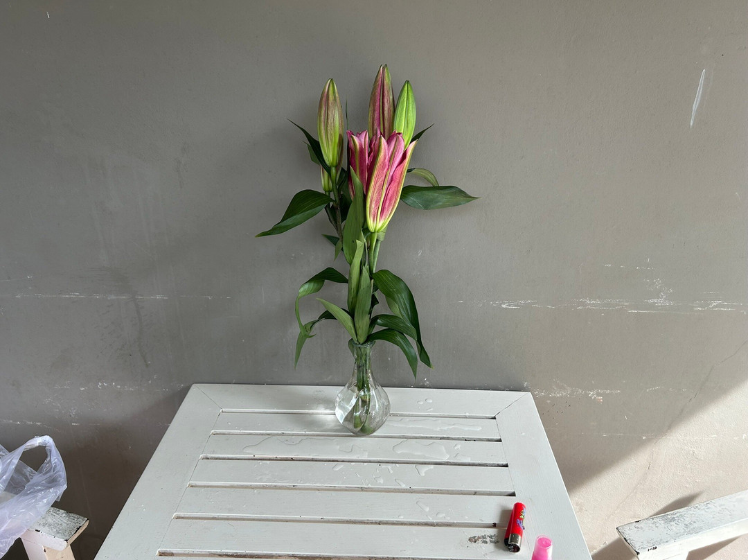 鲜花别墅酒店主图