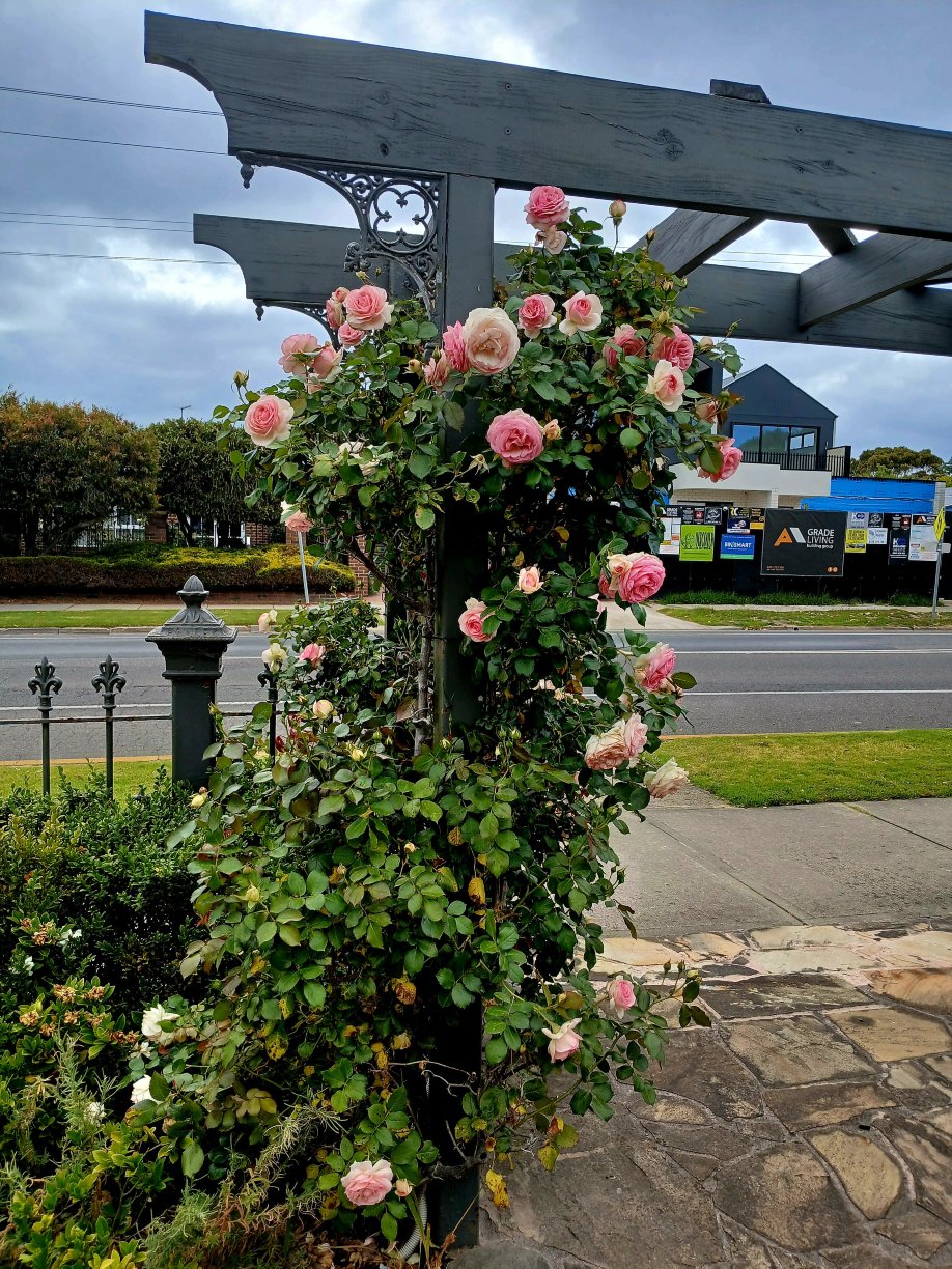莫宁顿布鲁克兰酒店-官方