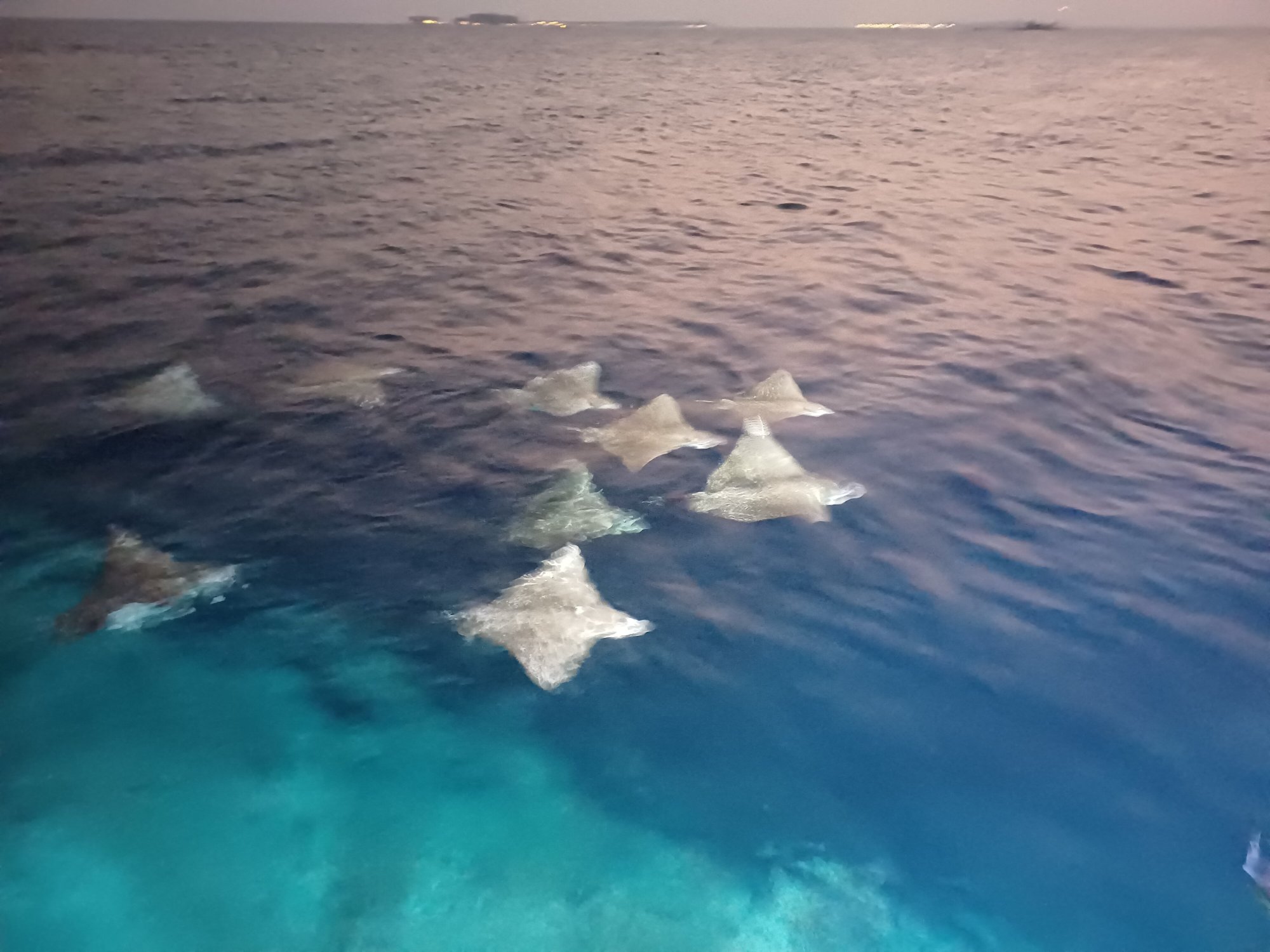 胡拉瓦尔西岛度假村-官方