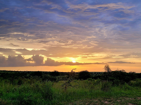 Kimbilio Serengeti Camp主图