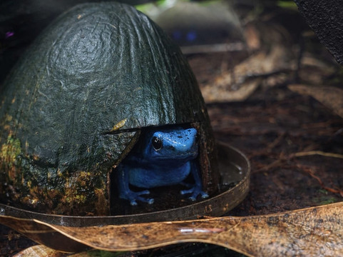 Jersey Zoo-Trinity必去景点