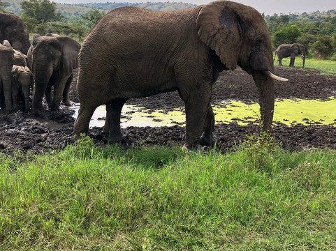 Rwanda Treasure Tours-Kinigi必去景点