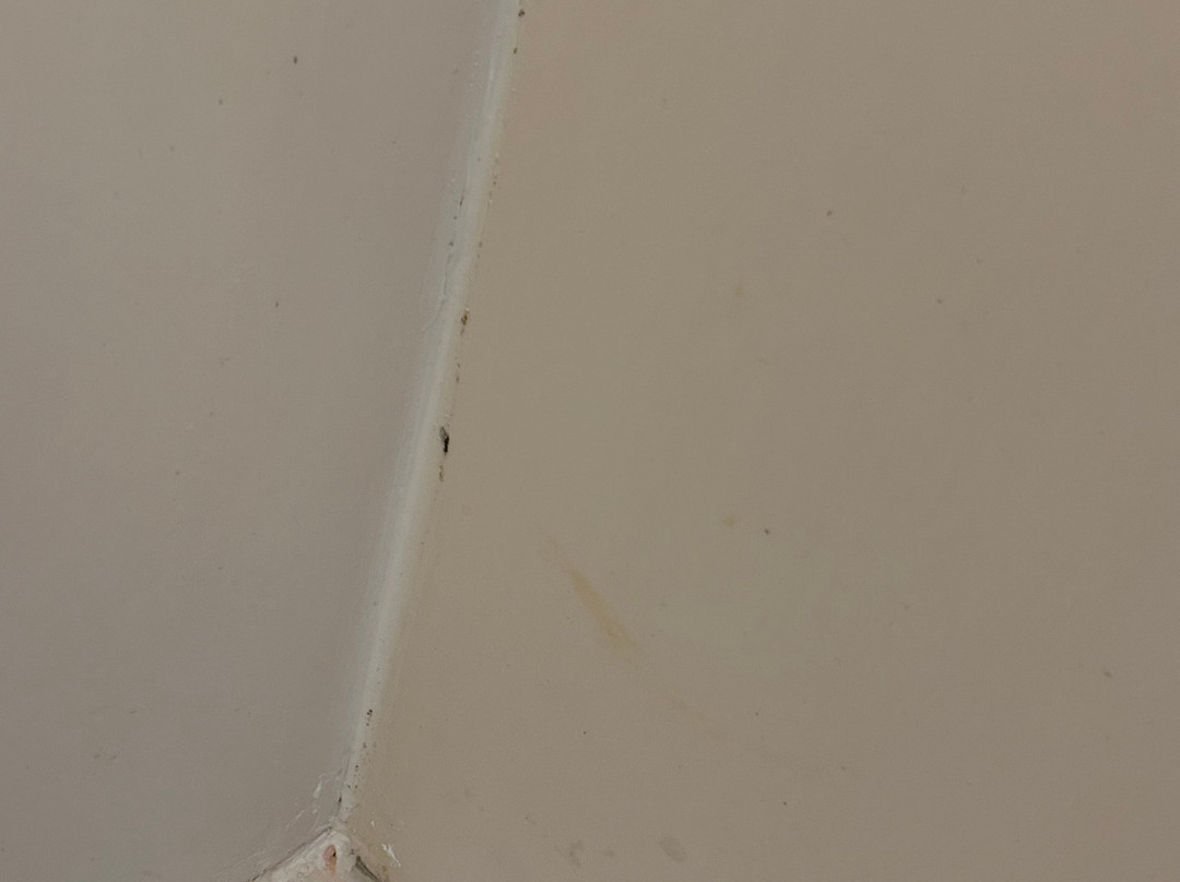 Comfort Suites主图