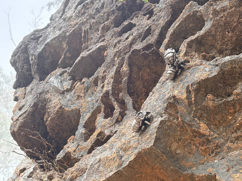 三姐妹峰缆车-卡通巴必去景点