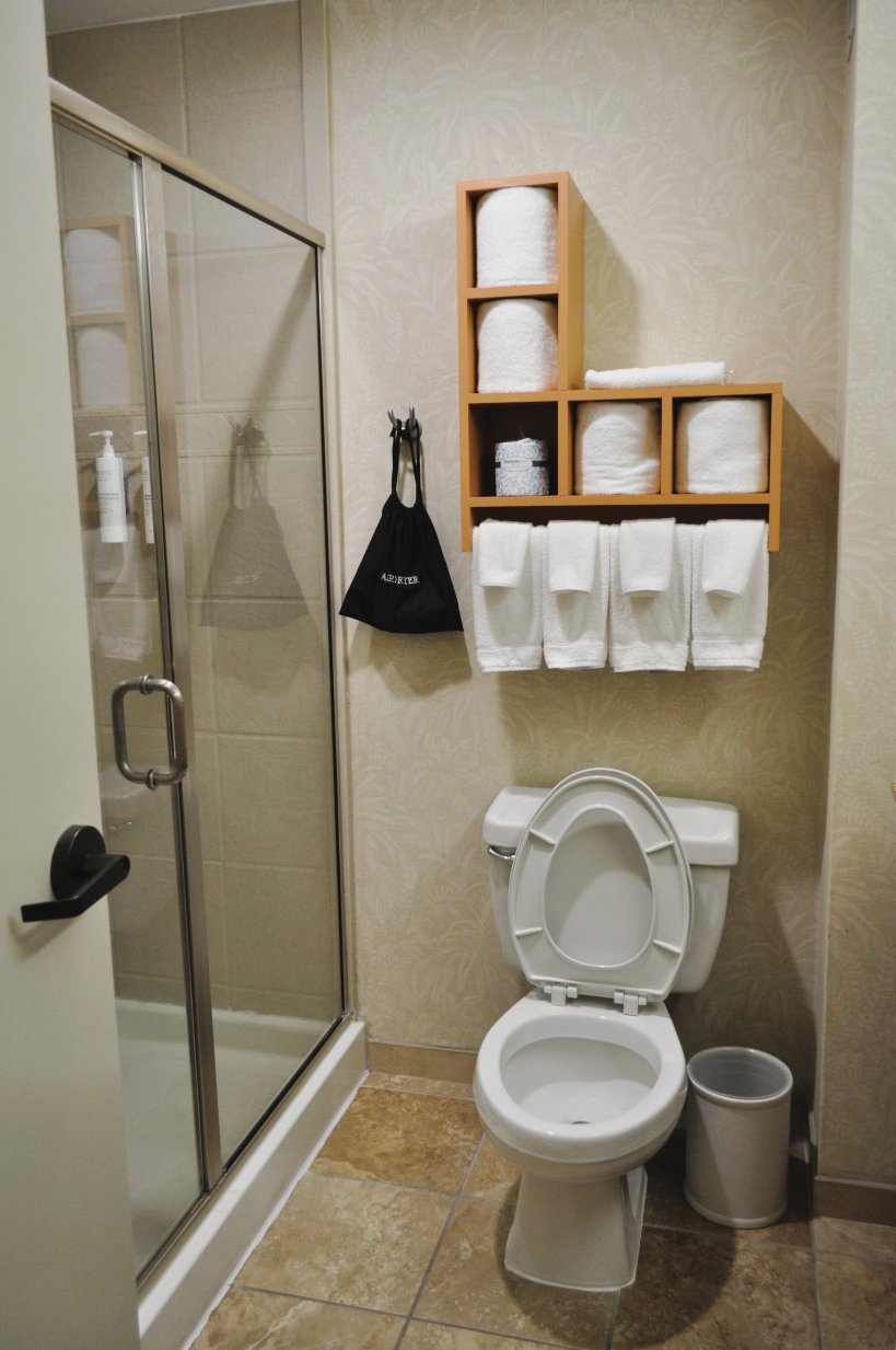 欢朋酒店及套房查尔斯顿／宜人山－棕榈岛-浴室