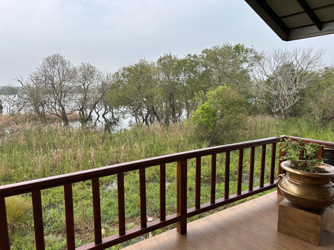 Sri Lanka Brothers Tour-尼甘布必去景点