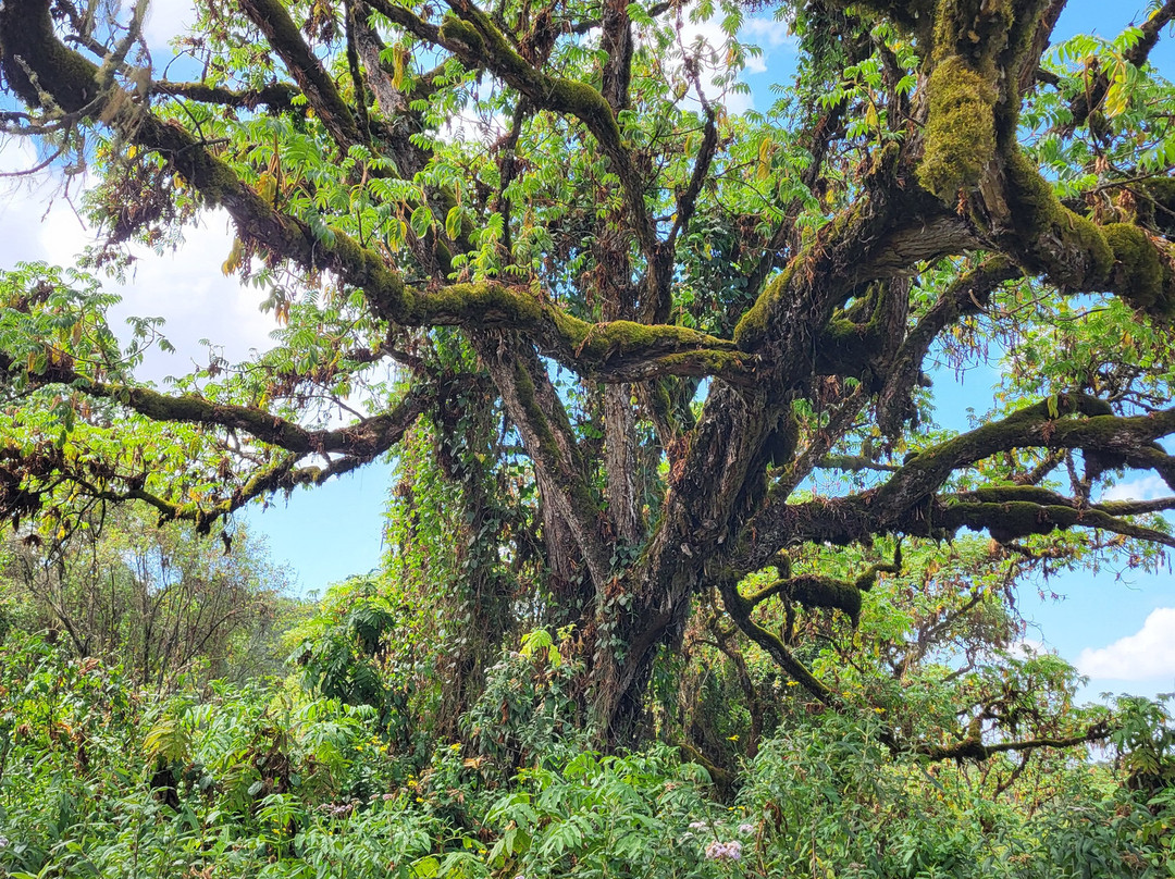 Roadtrip Africa-坎帕拉必去景点