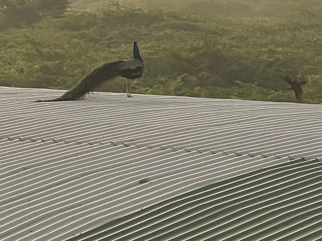 杜蒂戈林丽晶酒店-GRT酒店集团主图