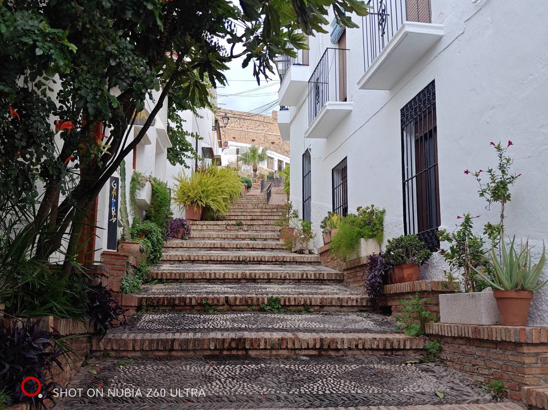 Casco Antiguo-萨洛夫雷尼亚必去景点