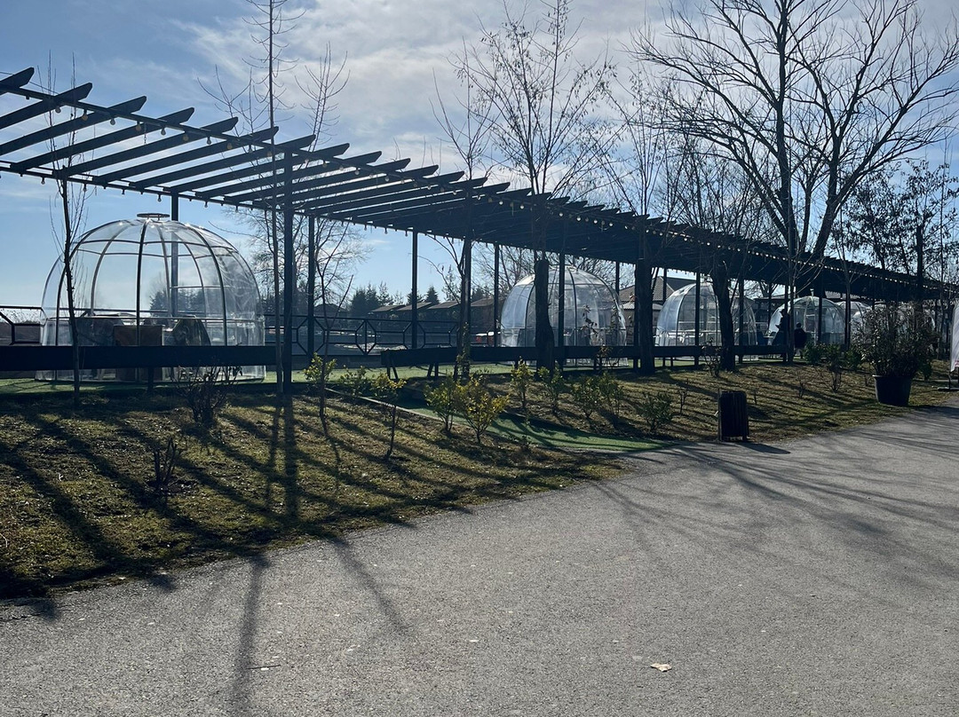 Nohur Lake-Ismailly必去景点