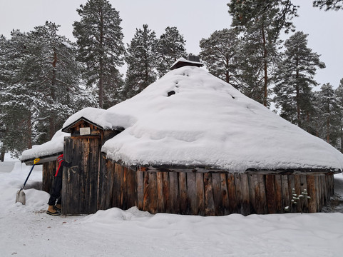 Inari Reindeer Farm-伊纳里必去景点