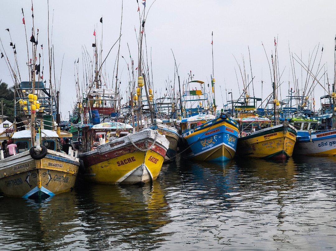 Hikkaduwa Harbour-希克杜沃必去景点