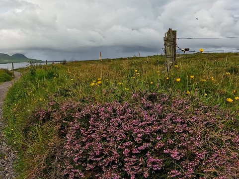 The Blasket Centre - Ionad an Bhlascaoid-Dunquin必去景点