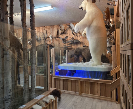 Canadian Wildlife Museum and Gift Shop-弗农必去景点