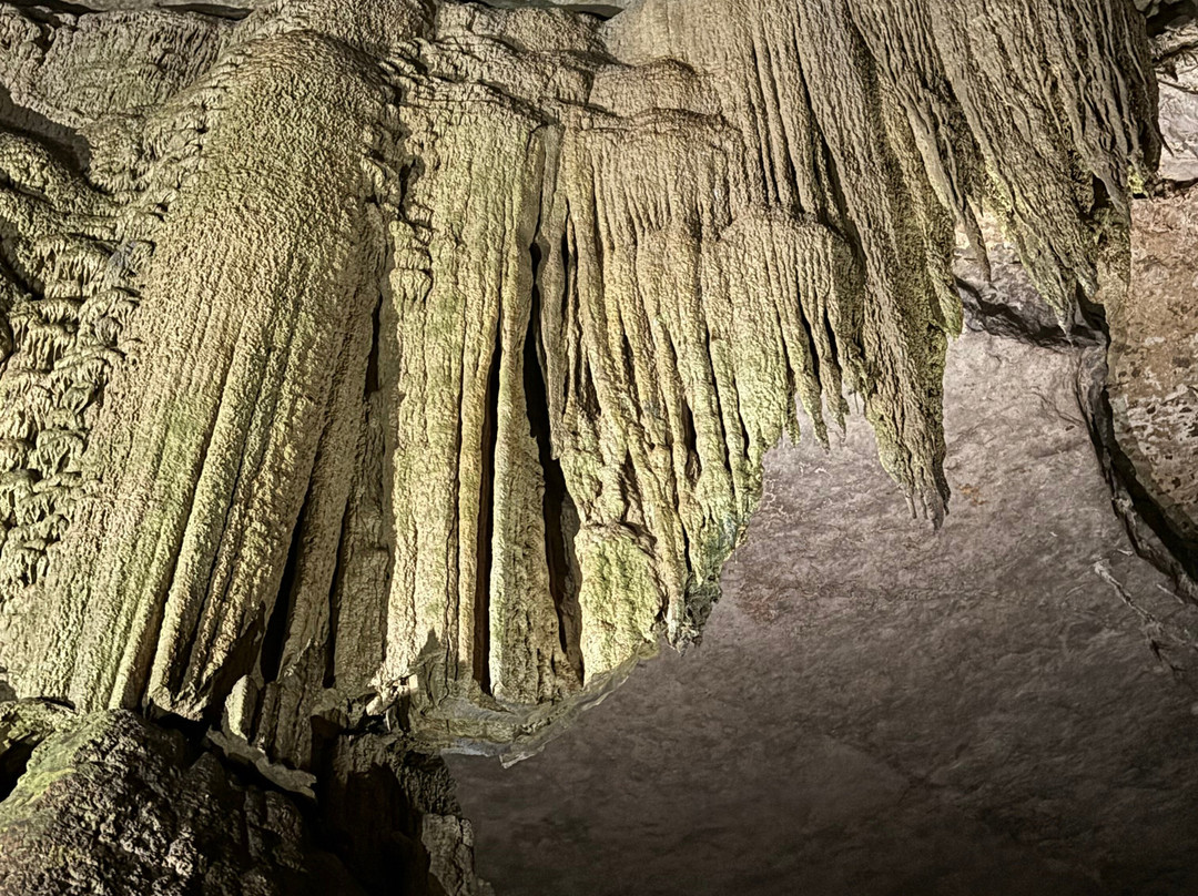 Cathedral Caverns State Park-Woodville必去景点