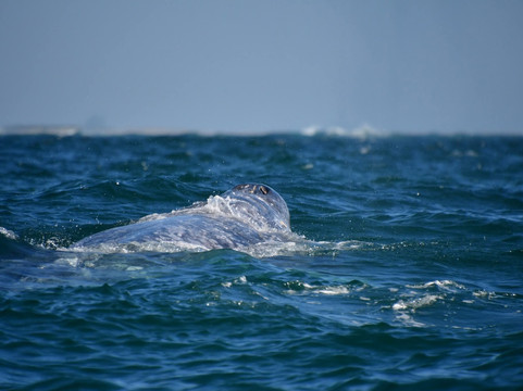 Transcabo-圣何塞卡波必去景点