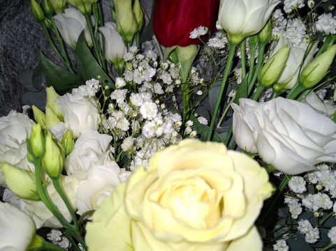 Flover-布索伦戈必去景点