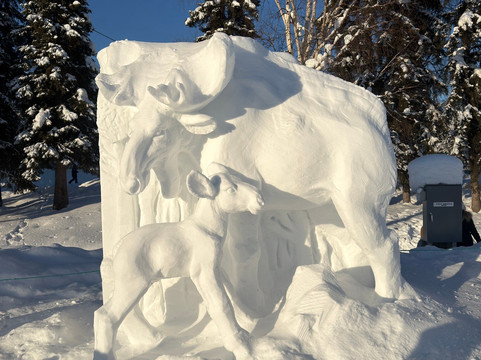 Ice Alaska Ice Park-费尔班克斯必去景点