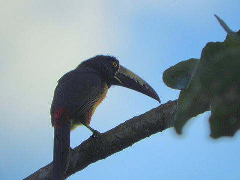 Eddy Ay Peña-Chunyaxche必去景点