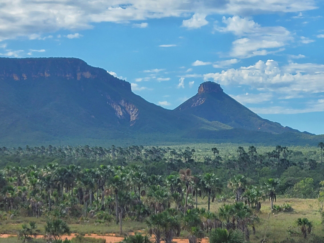 Jalapao Turismo-Jalapao State Park必去景点