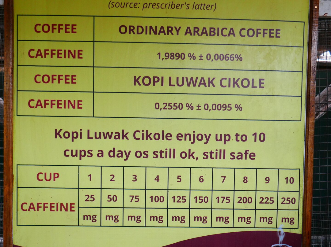 Kopi Luwak Cikole-连旺必去景点
