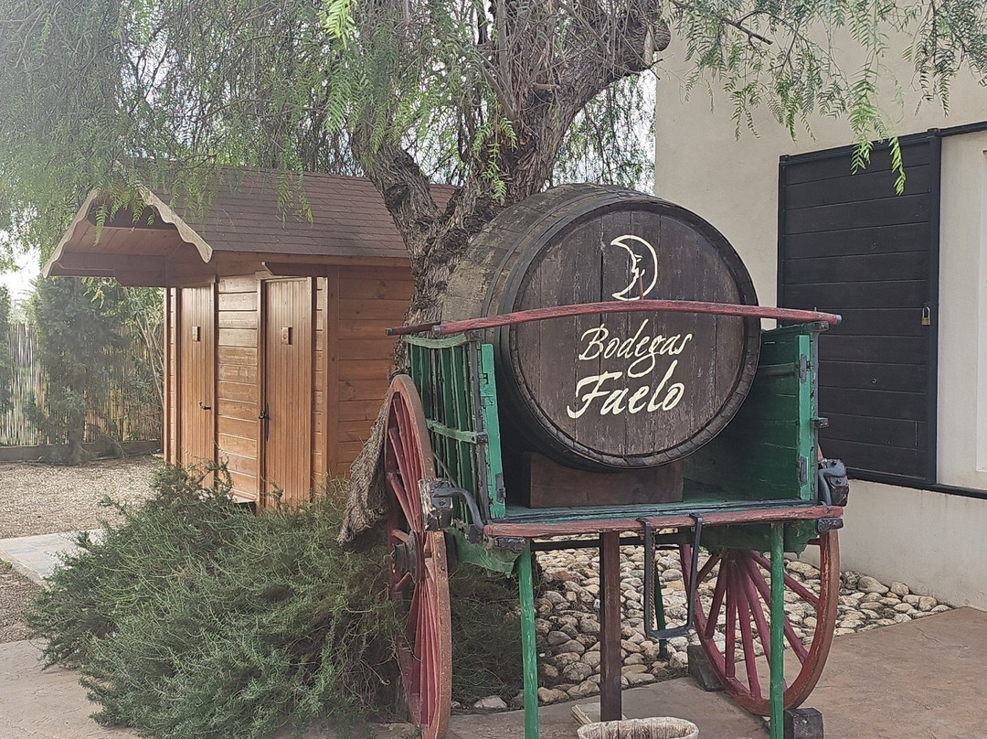 Bodegas Faelo-埃尔切必去景点