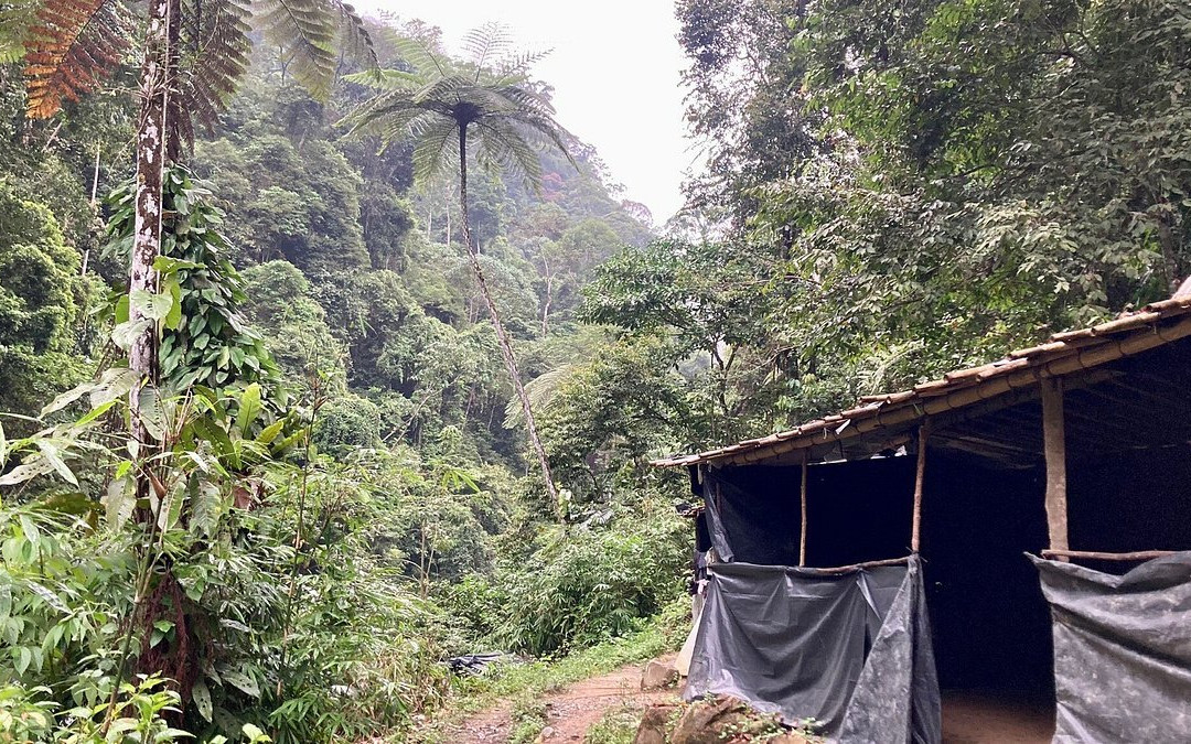 Bukit Lawang Jungle Treks-武吉拉旺必去景点