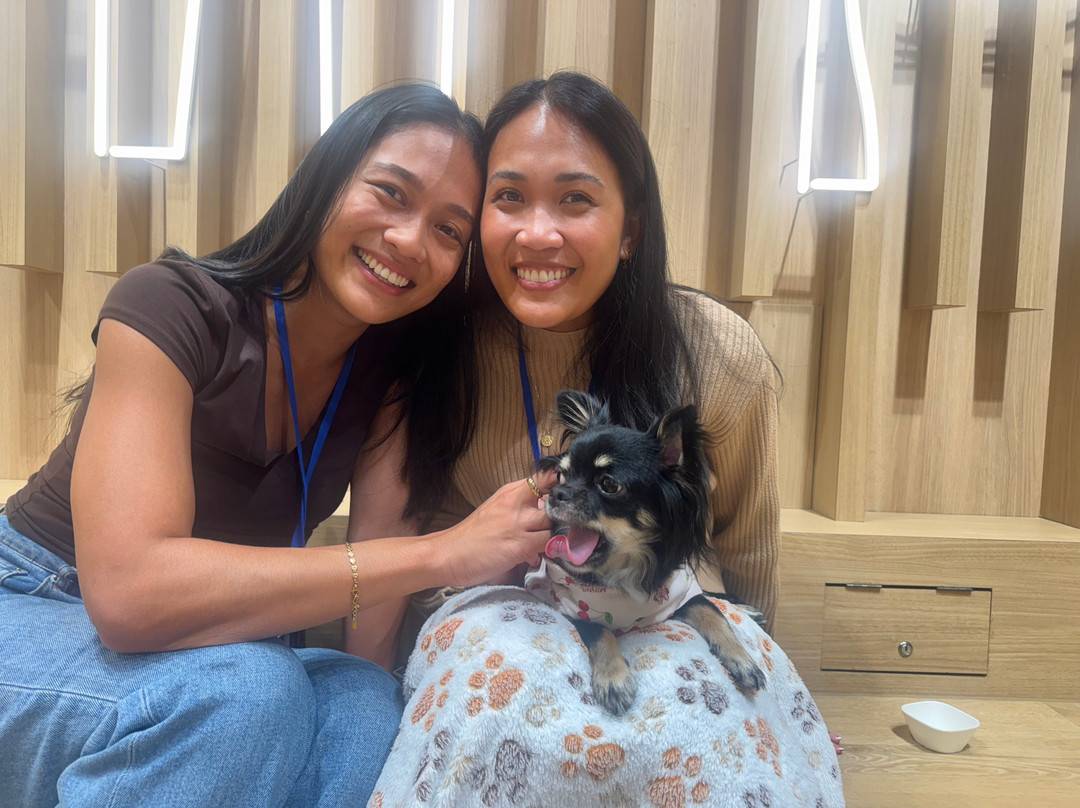 いぬカフェRIO 浅草店