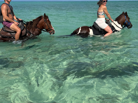 Unique Tours and Rentals-普罗维登西亚莱斯必去景点