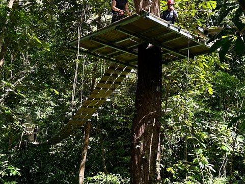 Osa Canopy Tour-鲸城必去景点
