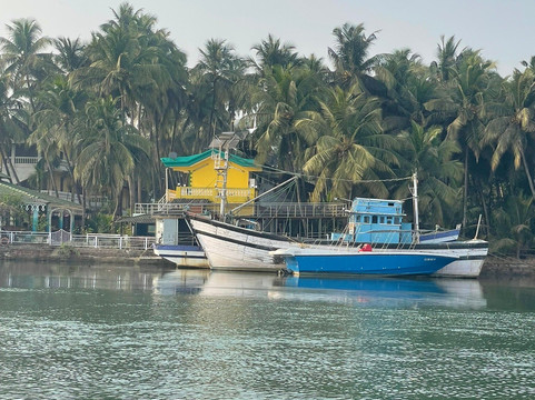 Betty's Place Boat Trips-卡维洛辛必去景点