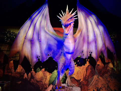 Harry Potter A Kiállítás-圣安德烈必去景点