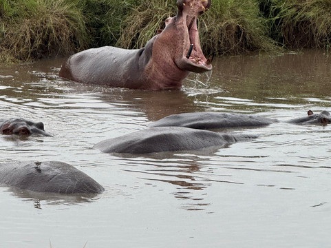 易捷旅游-一日游-阿鲁沙必去景点