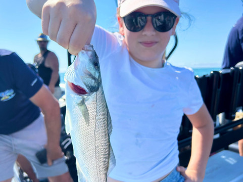 Experience Peche-勒格罗迪鲁瓦必去景点