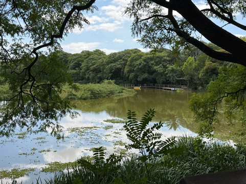 Reserva Ecológica Costanera Sur-布宜诺斯艾利斯必去景点