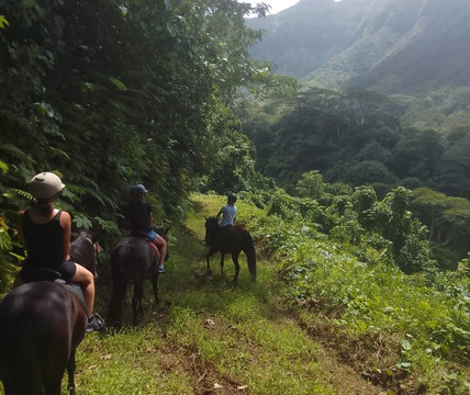 Cadichon Vallee-Uturoa必去景点