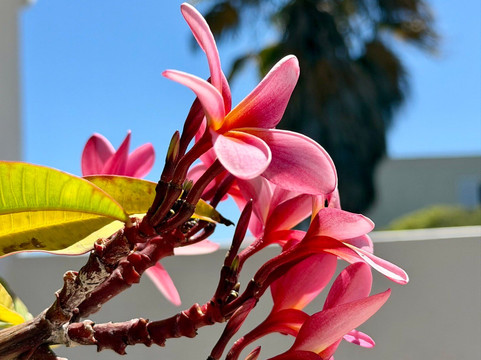 戴维爵士精品旅馆主图