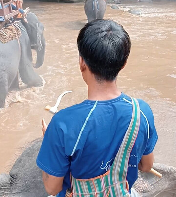 湄特曼大象训练营-夜林必去景点
