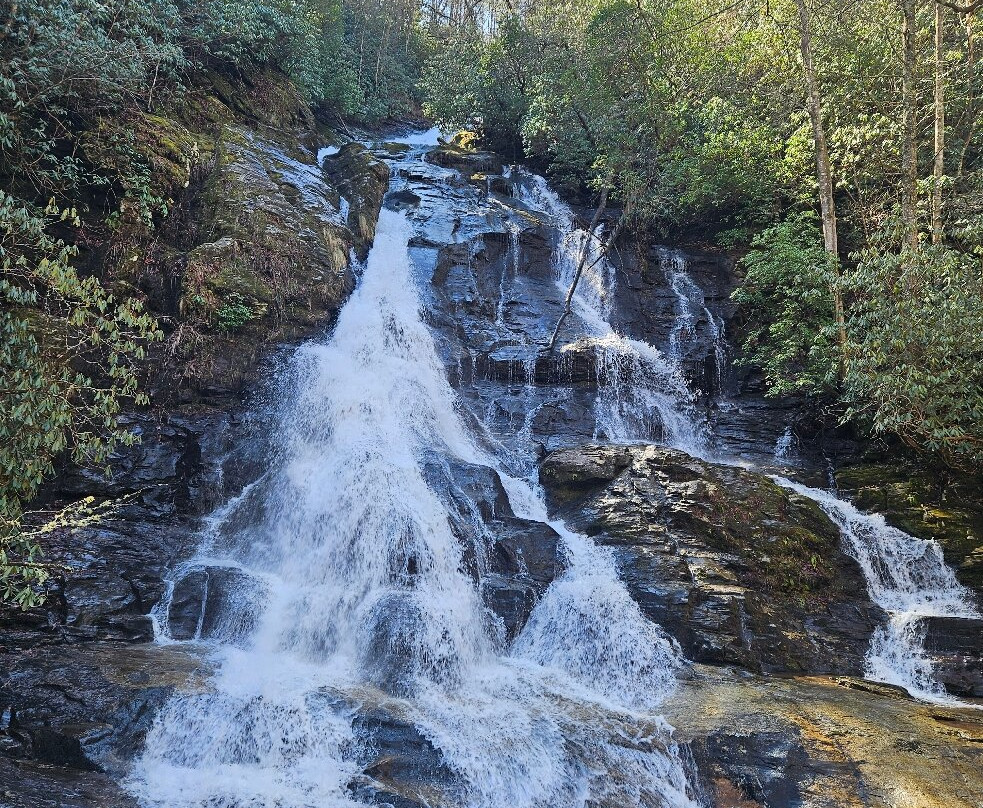 High Shoals Falls Trail-Hiawassee必去景点