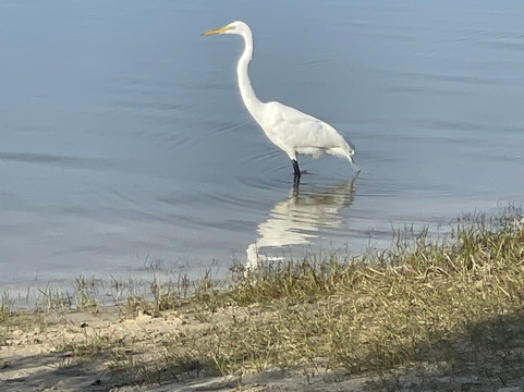 Cemetery Point Park-锡达礁必去景点