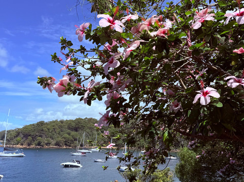 Positive Energy Adventures & Retreats-麦克夸利港必去景点