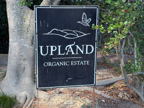 Upland Organic Wine-惠灵顿必去景点
