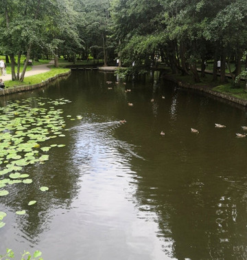 Tortilin Pond-泽列诺格拉茨克必去景点