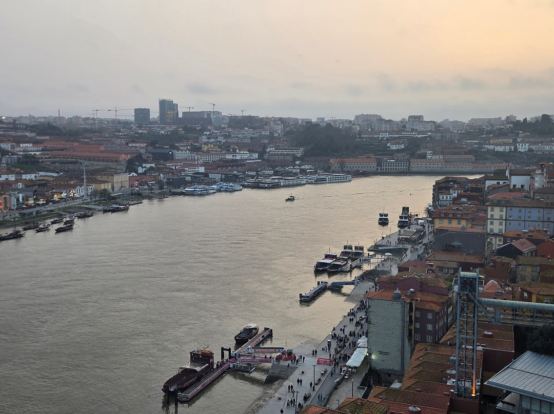 Hi Porto Walking Tours-波尔图必去景点