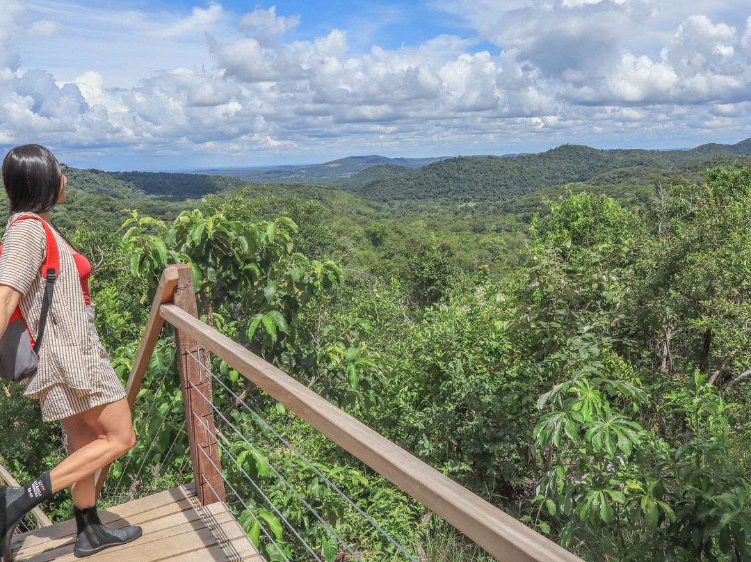 Estancia Mimosa Ecoturismo-博尼图必去景点