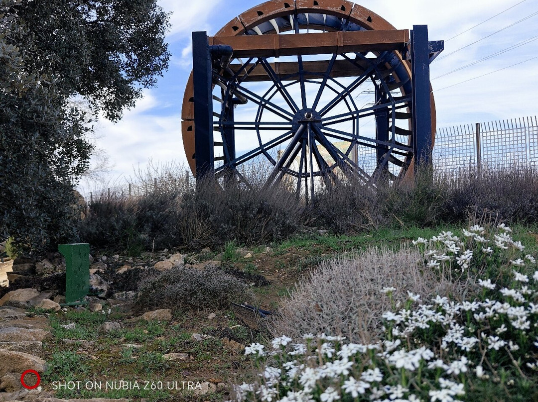 Jardin Botanico de Castilla-La Mancha-阿尔瓦塞特必去景点