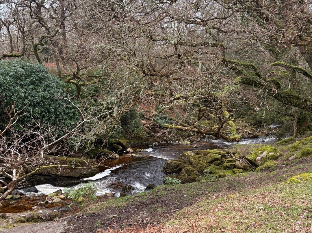 Avon Dam-South Brent必去景点