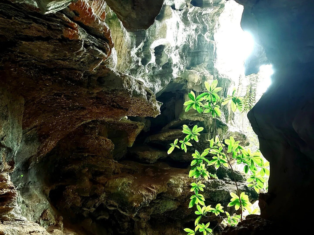 Cat Ba Bay-Ha Long City必去景点