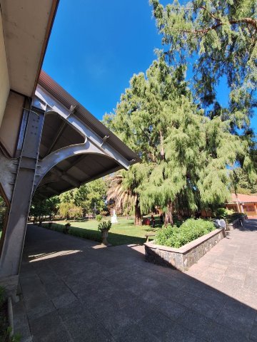 Termas de Quinamavida-浴室